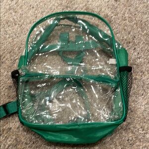 Small Clear backpack with Green lining